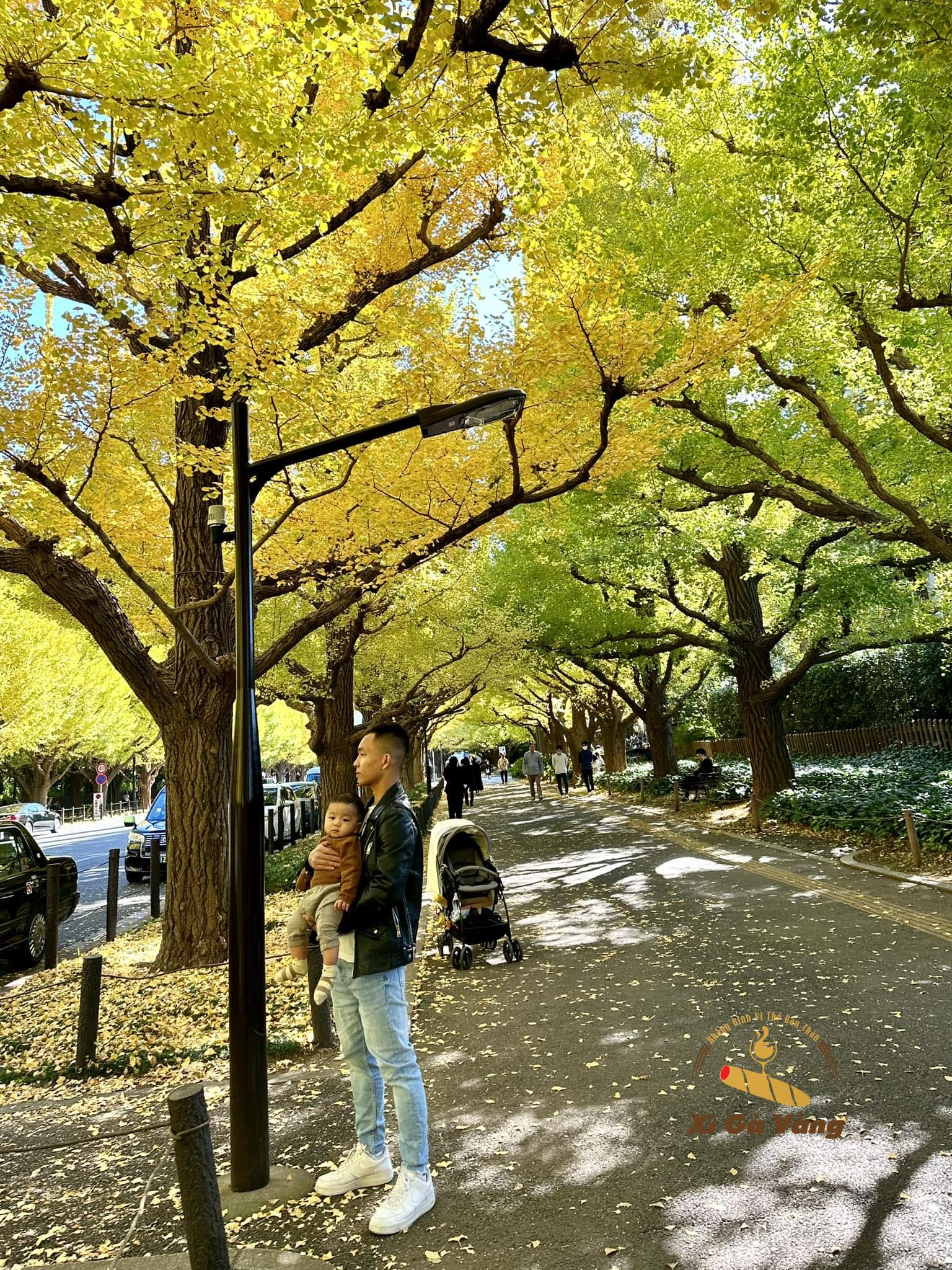 khách hàng phi phạm